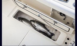 BOSTON WHALER CONQUEST 285 PILOTHOUSE WWW.MARECONSULT.COM.BR