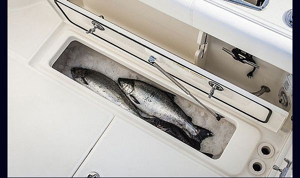 BOSTON WHALER CONQUEST 285 PILOTHOUSE WWW.MARECONSULT.COM.BR