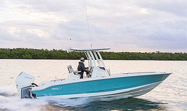 BOSTON WHALER DAUNTLESS 250