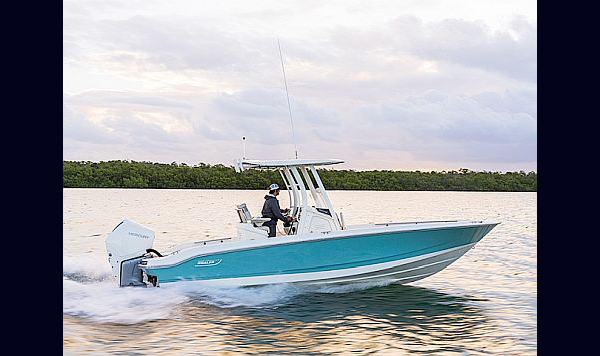 Boston Whaler Dauntless 250 www.mareconsult.com.br (1)