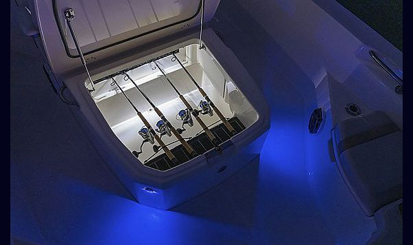 Boston Whaler Dauntless 250 www.mareconsult.com.br (11)