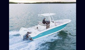 Boston Whaler Dauntless 250 www.mareconsult.com.br (2)