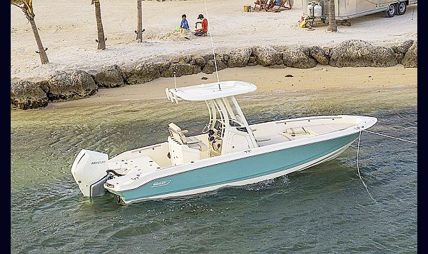 Boston Whaler Dauntless 250 www.mareconsult.com.br (2)a