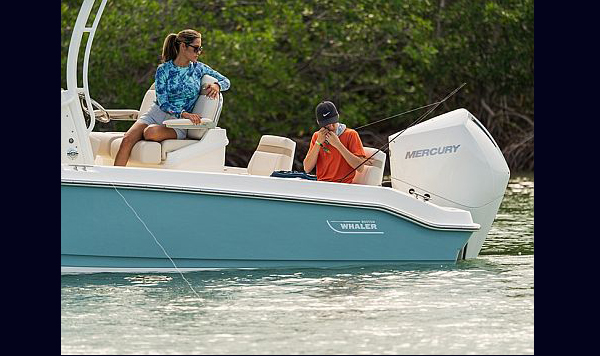 Boston Whaler Dauntless 250 www.mareconsult.com.br (2)b