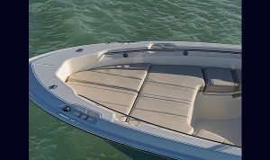 Boston Whaler Dauntless 250 www.mareconsult.com.br (2)f