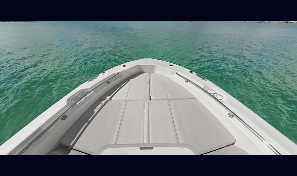 Boston Whaler Dauntless 250 www.mareconsult.com.br (3)