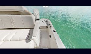 Boston Whaler Dauntless 250 www.mareconsult.com.br (5)