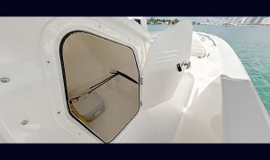 Boston Whaler Dauntless 250 www.mareconsult.com.br (7)