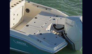 Boston Whaler Dauntless 250 www.mareconsult.com.br (8)