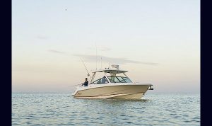 Bosoton Whaler 280 Vantage www.mareconsult.com.br (1)