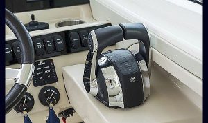 Bosoton Whaler 280 Vantage www.mareconsult.com.br (10)