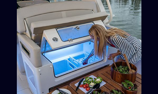 Bosoton Whaler 280 Vantage www.mareconsult.com.br (13)