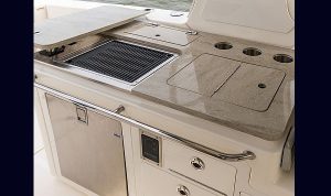 Bosoton Whaler 280 Vantage www.mareconsult.com.br (16)