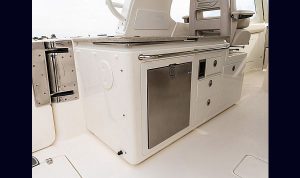 Bosoton Whaler 280 Vantage www.mareconsult.com.br (17)