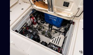 Bosoton Whaler 280 Vantage www.mareconsult.com.br (19)