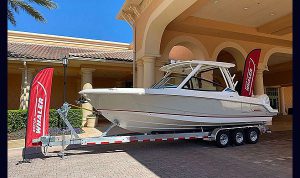 Bosoton Whaler 280 Vantage www.mareconsult.com.br (2)