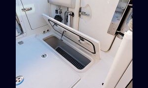 Bosoton Whaler 280 Vantage www.mareconsult.com.br (21)