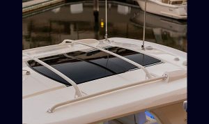 Bosoton Whaler 280 Vantage www.mareconsult.com.br (22)