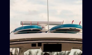 Bosoton Whaler 280 Vantage www.mareconsult.com.br (23)