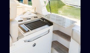 Bosoton Whaler 280 Vantage www.mareconsult.com.br (26)