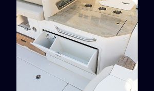 Bosoton Whaler 280 Vantage www.mareconsult.com.br (27)