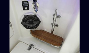 Bosoton Whaler 280 Vantage www.mareconsult.com.br (28)