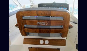 Bosoton Whaler 280 Vantage www.mareconsult.com.br (30)