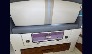 Bosoton Whaler 280 Vantage www.mareconsult.com.br (32)