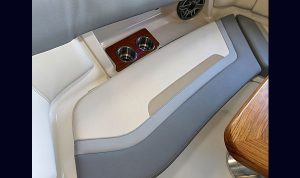 Bosoton Whaler 280 Vantage www.mareconsult.com.br (34)