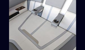 Bosoton Whaler 280 Vantage www.mareconsult.com.br (35)