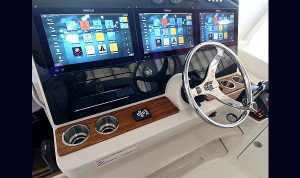 Bosoton Whaler 280 Vantage www.mareconsult.com.br (36)