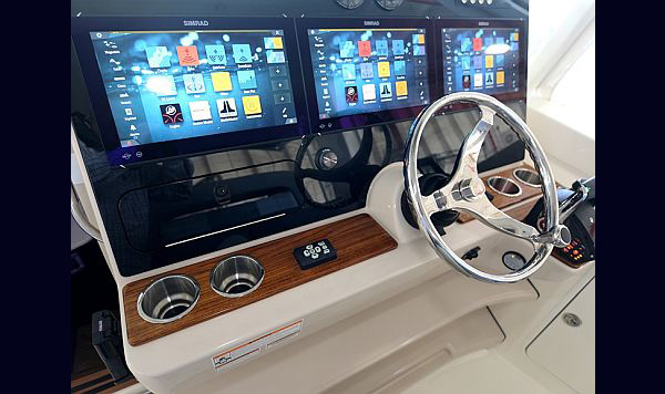 Bosoton Whaler 280 Vantage www.mareconsult.com.br (36)