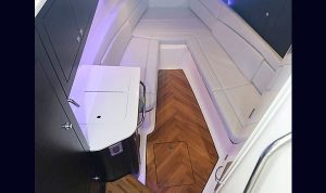 Bosoton Whaler 280 Vantage www.mareconsult.com.br (37)