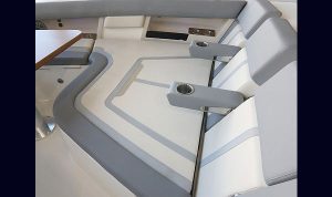 Bosoton Whaler 280 Vantage www.mareconsult.com.br (38)