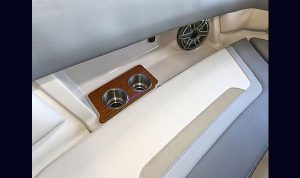 Bosoton Whaler 280 Vantage www.mareconsult.com.br (39)