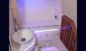 Bosoton Whaler 280 Vantage www.mareconsult.com.br (42)