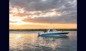 Bosoton Whaler 280 Vantage www.mareconsult.com.br (5)