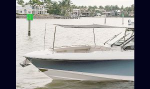 Bosoton Whaler 280 Vantage www.mareconsult.com.br (6)