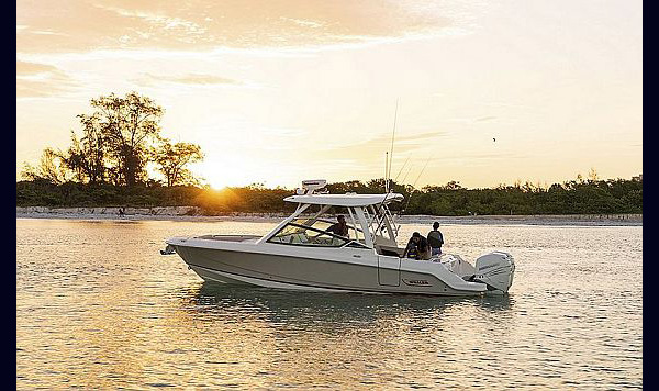 Bosoton Whaler 280 Vantage www.mareconsult.com.br (7)