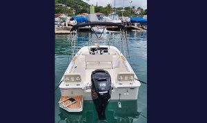 BOSTON WHALER 170 1