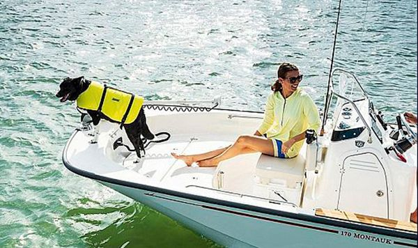 BOSTON WHALER 170 3