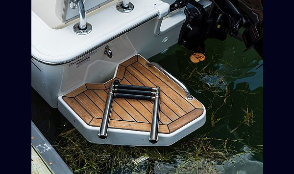 Boston Whaler 190 Montauk www.mareconsult.com.br (32)