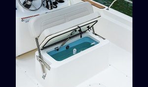 Boston Whaler 190 Montauk www.mareconsult.com.br (33)