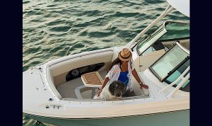 Boston Whaler 240 Vantagem www.mareconsult.com.br (10)