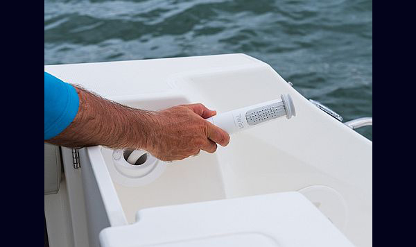 Boston Whaler 240 Vantagem www.mareconsult.com.br (18)