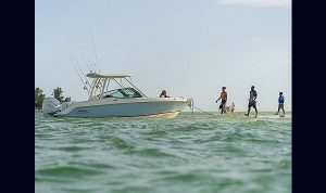 Boston Whaler 240 Vantagem www.mareconsult.com.br (21)