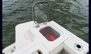 Boston Whaler 240 Vantagem www.mareconsult.com.br (22)