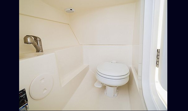 Boston Whaler 240 Vantagem www.mareconsult.com.br (24)