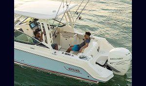 Boston Whaler 240 Vantagem www.mareconsult.com.br (3)