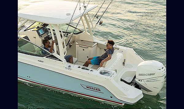 Boston Whaler 240 Vantagem www.mareconsult.com.br (3)